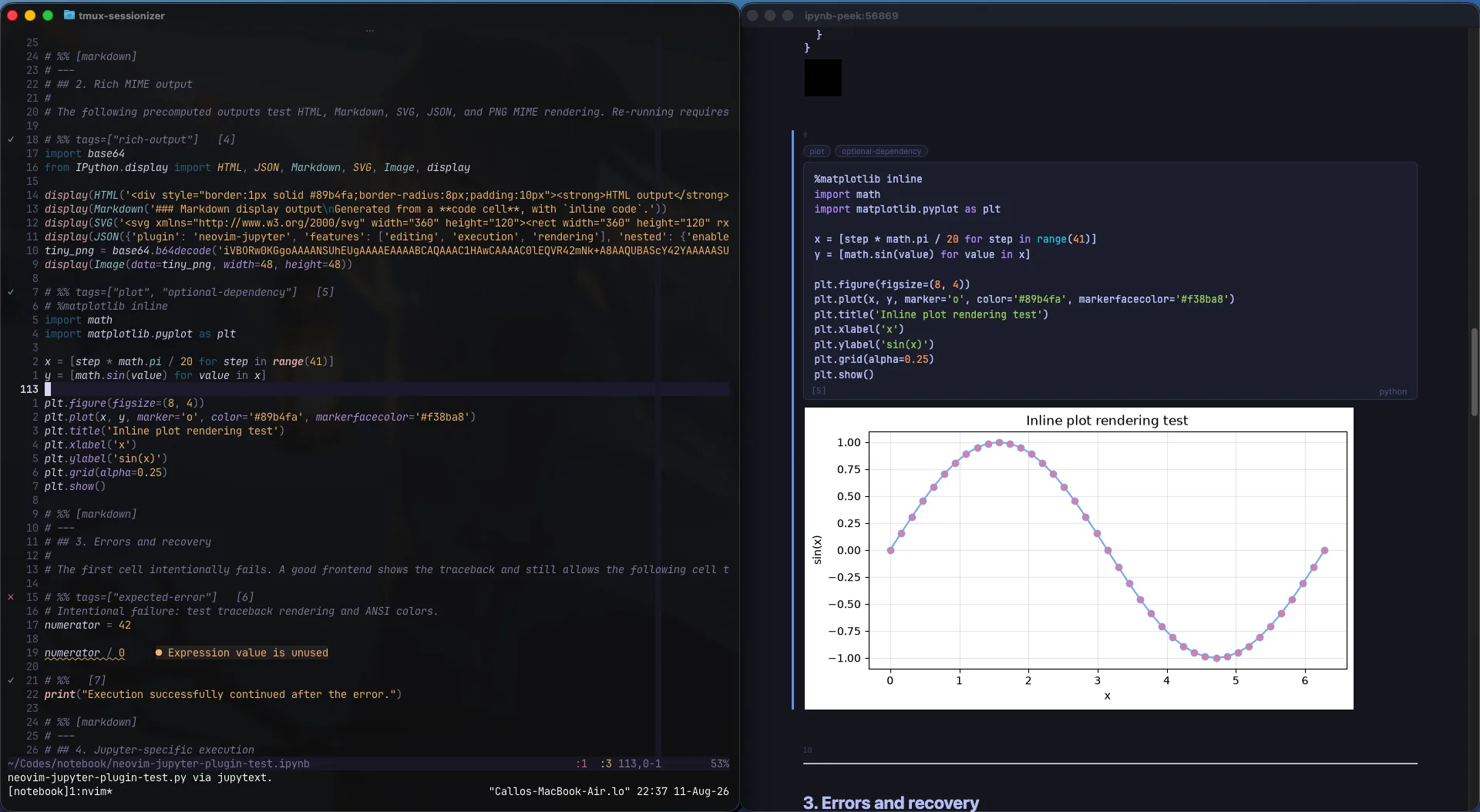 ipynb-peek.nvim interface